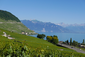 Tourists in Lavaux